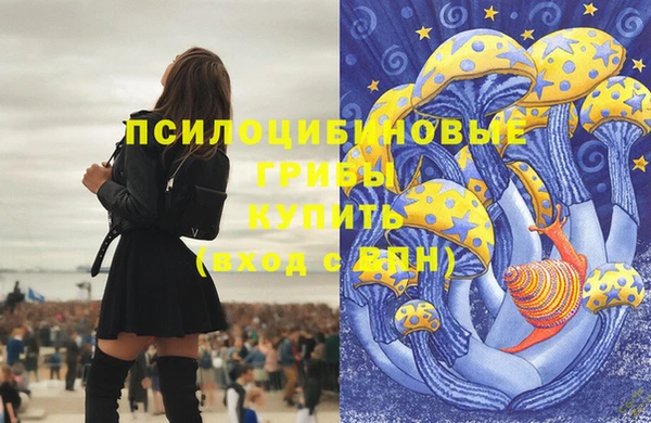 каннабис Аркадак