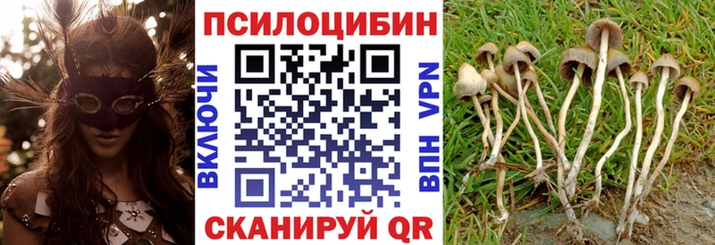 Псилоцибиновые грибы Cubensis Данков